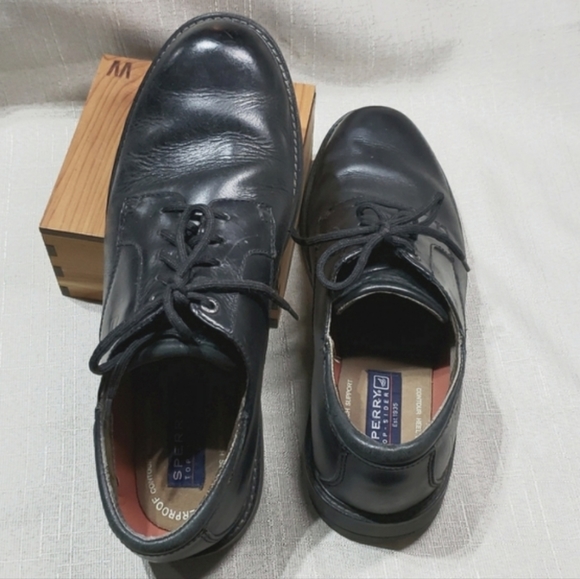 Sperry Top Sider Waterproof Lace Up Mens Shoe - Picture 13 of 15